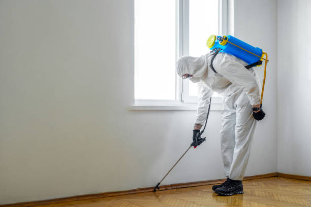 Best Organic or Eco-Friendly Pest Control  in Bath, MI